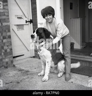 1967, una donna con il suo grande cane, un san Bernardo, Inghilterra, Regno Unito. Questo grande o gigante razza di cane arriva dalla Svizzera o Italia ed erano originariamente razza per il salvataggio dell'Ospizio del Gran San Bernardo a cavallo del confine italo-svizzero. Foto Stock