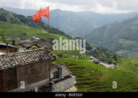 Guilin terrazze di riso in fioritura, Cina Foto Stock