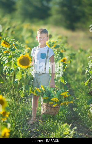 Carino bello ragazzo sul campo di girasole felice di trascorrere del tempo in un elegante abito. Foto Stock