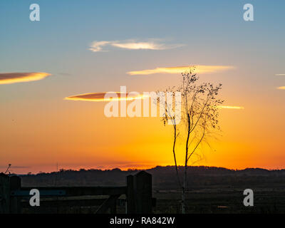 Beautiful golden sunset glow con un singolo albero silhouette e illuminata di nuvole a St Aidan la Riserva Naturale, nello Yorkshire, Inghilterra Foto Stock