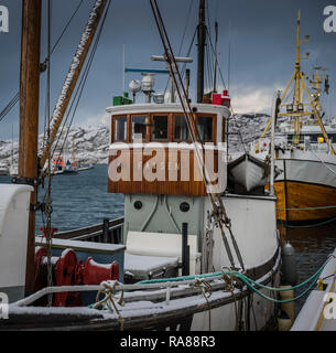 La flotta di pesca attraccata a Bodo, Norvegia Foto Stock