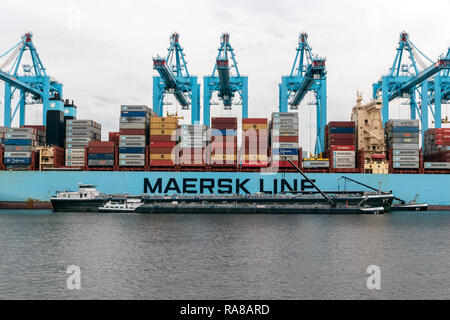 ROTTERDAM - Agosto 23, 2017: Maersk Container nave ormeggiata in Maasvlakte 2 nel porto di Rotterdam. Foto Stock