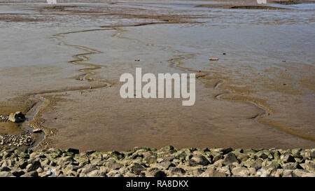 Mudflat nella bocca del fiume Weser a bassa marea Foto Stock