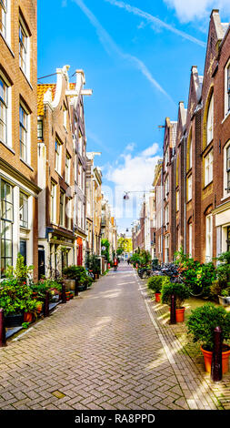 Vasi di fiori nella parte anteriore del case storiche in Langestraat tra il Brouwersgracht e Blauwburgwal canali nel centro di Amsterdam, Olanda Foto Stock