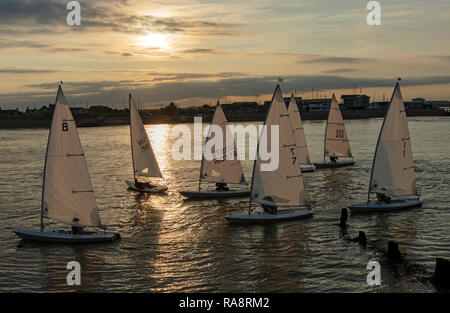 Felixstowe Ferry Yacht Club membri, fiume Deben, Suffolk, Regno Unito. Foto Stock