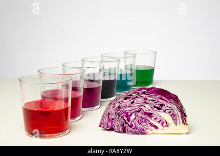 Gradiente di colore rosso del succo di cavolo (indicatore di pH) in bicchieri trasparente su sfondo bianco Foto Stock
