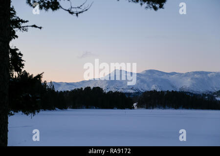 Sole di mattina colpendo cime innevate Foto Stock