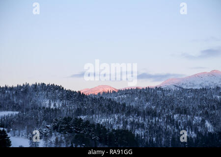 Sunrise incandescente sulla montagna innevata dietro forest Foto Stock