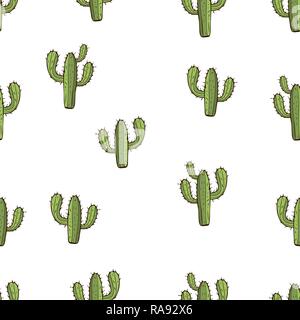 Cactus seamless pattern, del disegno a mano, illustrazione vettoriale. Verniciato di verde peyote con punte su sfondo bianco. Per disegno di tessuto, tessuto, carta da parati Illustrazione Vettoriale