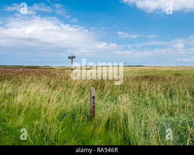 Le saline con nessun accesso cartello segnaletico e faro di legno nella riserva naturale Het Oerd sulla West Frisone isola Ameland, Friesland, Paesi Bassi Foto Stock