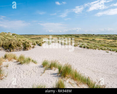 Vista panoramica delle dune di sabbia del paesaggio in riserva naturale Het Oerd sulla West Frisone isola Ameland, Friesland, Paesi Bassi Foto Stock