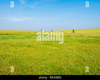 Gente in bicicletta sulla diga con campo in erba in una giornata di sole con cielo blu, Schiermonnikoog, Paesi Bassi Foto Stock