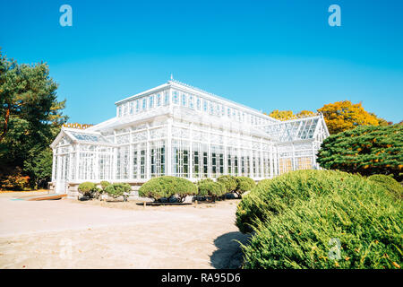 Seoul, Corea del Sud - 31 Ottobre 2018 : Palazzo Changgyeonggung Grand Serra Foto Stock