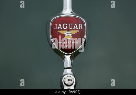 Logo di avvio su un vintage Jaguar XK140. Foto Stock