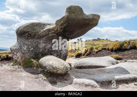 Weathered gritstone producendo una forma singolare di roccia erosa sul margine meridionale della Kinder Scout, Derbyshire, Peak District, England, Regno Unito Foto Stock