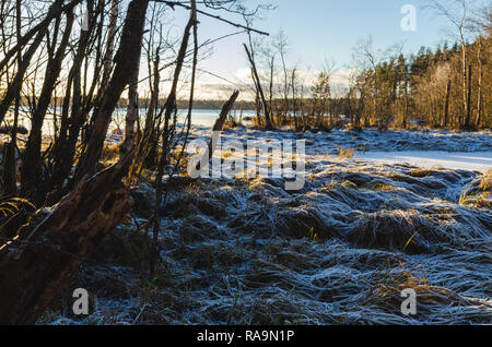 Un tardo pomeriggio vista di un lago congelato con fieno e alcuni alberi in primo piano in basso, la sera della luce del sole Foto Stock