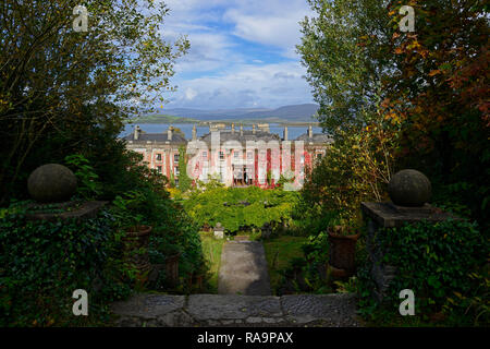 Siepe di bosso parterre,wisteria circle,acer palmatum,terrazza,giardino,Bantry House e giardini, West Cork Garden Trail,RM Floral Foto Stock