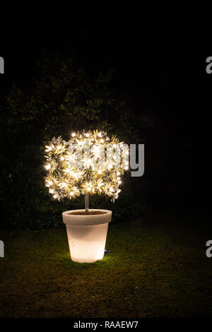 Albero illuminato in un vaso da fiori sul Palazzo di Blenheim natale luce trail. Dicembre 2018 Foto Stock