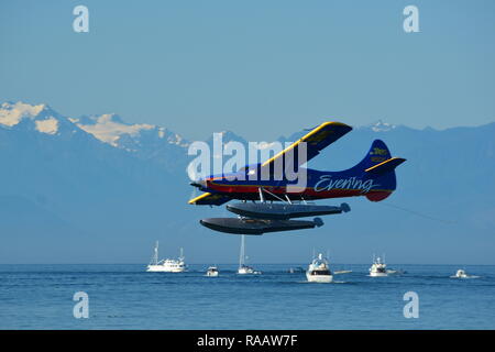 Piano di flottazione in arrivo per un atterraggio in acqua in Victoria BC. Foto Stock