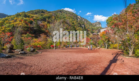 Yamanashi, Giappone - 10 Novembre 2018: Turisti escursioni nel parco nazionale, la destinazione di viaggio per turismo, in autunno a Yamanashi, Giappone Foto Stock