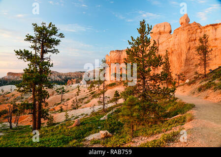 Bryce Canyon e una vista in lontananza la regina Victoria la formazione. Foto Stock