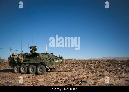 Un accordo interinale di veicolo blindato (IAV) Stryker parchi durante l'esercizio, NTC 17-03, National Training Center, Ft. Irwin, ca., Gen 13, 2017. Il Centro Nazionale di Allenamento conduce dura, realistico, Unified terra operazioni con le nostre nazioni partner di azione per preparare la brigata di squadre di combattimento e di altre unità per combattere avendo cura di soldati e civili e membri della famiglia. Foto Stock