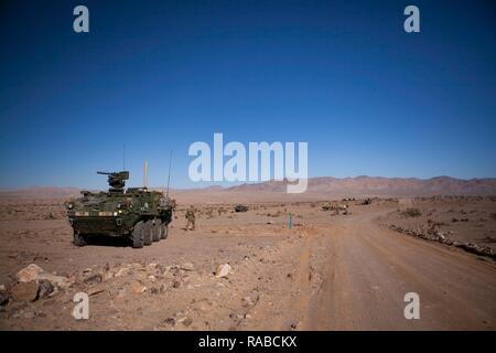 Un accordo interinale di veicolo blindato (IAV) Stryker parchi durante l'esercizio, NTC 17-03, National Training Center, Ft. Irwin, ca., Gen 13, 2017. Il Centro Nazionale di Allenamento conduce dura, realistico, Unified terra operazioni con le nostre nazioni partner di azione per preparare la brigata di squadre di combattimento e di altre unità per combattere avendo cura di soldati e civili e membri della famiglia. Foto Stock