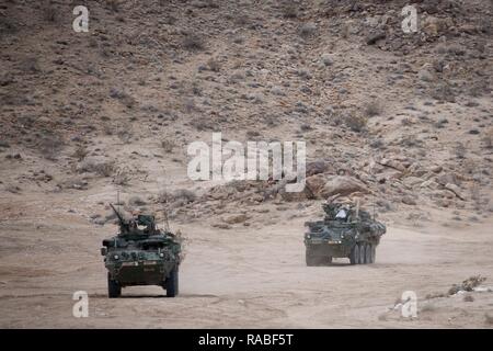 Interim veicolo blindato (IAV) Stryker's trasporta soldati in un villaggio durante l'esercizio, NTC 17-03, National Training Center, Ft. Irwin, ca., Gen 18, 2017. Il Centro Nazionale di Allenamento conduce dura, realistico, Unified terra operazioni con le nostre nazioni partner di azione per preparare la brigata di squadre di combattimento e di altre unità per combattere avendo cura di soldati e civili e membri della famiglia. Foto Stock