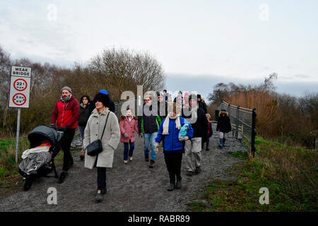 Centinaia di persone hanno girato fino alla parete di prosciutto Riserva Naturale a Shapwick Heath a guardare la Starling Murmeration nel Somerset. Robert Timoney/Alamy/Live/News Foto Stock