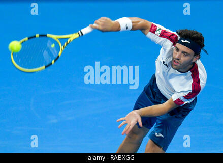 Doha in Qatar. 3 gennaio, 2019. Marco Cecchinato dell Italia serve durante i singoli quarti match contro Dusan Lajovic di Serbia presso l'ATP Qatar Open Tennis Tournament a Doha, capitale del Qatar, Gen 3, 2019. Credito: Nikku/Xinhua/Alamy Live News Foto Stock