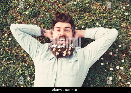 Vacanze di primavera concetto. Hipster sulla faccia felice giace su erba, vista dall'alto. Guy guarda piacevolmente con daisy o i fiori di camomilla in barba a. Uomo con barba e baffi gode di molla, prato verde dello sfondo. Foto Stock