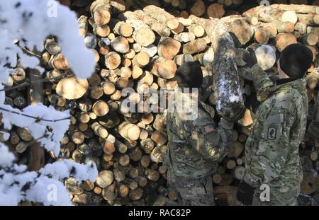 CAMP ADAZI, Lettonia - paracadutisti assegnato alla società scelta 2° Battaglione, 503rd Reggimento di Fanteria, 173rd Brigata Aerea, stock di legna da ardere a Bērzupes Esigenze Speciali Boarding School di Dobele, Lettonia, Gennaio 17, 2017. La missione è stata condotta in collaborazione con gli Stati Uniti Ambasciata e soldati lettone per fornire una alimentazione di legna da ardere per riscaldare la scuola. Il 'Sky soldato' di 2 miliardi di euro., 503rd Inf. Regt. sono su di una rotazione della formazione a sostegno del funzionamento Atlantic risolvere, un led DEGLI STATI UNITI sforzo in Europa orientale che dimostra l'impegno degli Stati Uniti per la sicurezza collettiva della NATO e la dedizione alla enduri Foto Stock