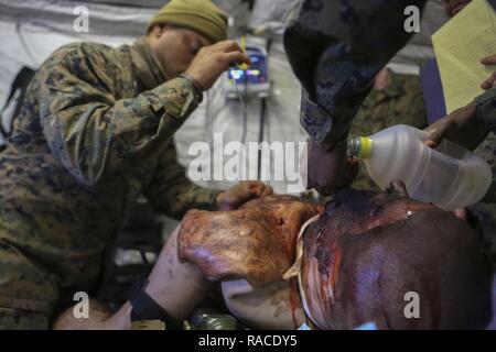 U.S Navy Petty Officer di terza classe Lexton Rose, Hospital Corpsmen con Alfa Company, 2° Battaglione medica, 2° Marine Logistics Group, partecipa in massa casualty trapani a TLZ Egrett su Camp Lejeune, N.C., Gennaio 19, 2017. I marinai svolto attività di formazione per visualizzare corpsmen le capacità operative. Foto Stock