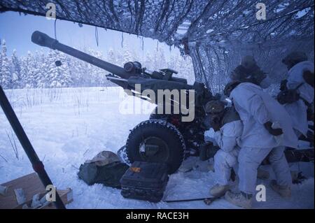 Paracadutisti assegnato alla batteria alfa, 2° Battaglione, 377 campo paracadute reggimento di artiglieria, quarta brigata di fanteria combattere Team (airborne), XXV divisione di fanteria, U.S. Esercito di Alaska, operare una M119A2 105mm obice durante il live di formazione antincendio a base comune Elmendorf-Richardson, Alaska, Gennaio 19, 2017. I paracadutisti hanno affinato le loro abilità di conduzione di fuoco vivo missioni in temperature sotto zero. I soldati del 4/24 IBCT appartengono al solo American airborne brigade nel Pacifico e sono addestrati per eseguire le manovre di volo in condizioni di freddo intenso/ambienti ad altitudini elevate a sostegno di combattimento, Foto Stock