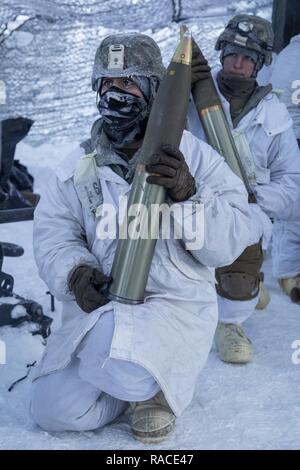 Paracadutisti assegnato alla batteria alfa, 2° Battaglione, 377 campo paracadute reggimento di artiglieria, quarta brigata di fanteria combattere Team (airborne), XXV divisione di fanteria, U.S. Esercito di Alaska, sit pronto con 105mm alto esplosivo turni durante M119A2 105mm obice live formazione antincendio a base comune Elmendorf-Richardson, Alaska, Gennaio 19, 2017. I paracadutisti hanno affinato le loro abilità di conduzione di fuoco vivo missioni in temperature sotto zero. I soldati del 4/24 IBCT appartengono al solo American airborne brigade nel Pacifico e sono addestrati per eseguire le manovre di volo in condizioni di freddo intenso/alta altitudine e Foto Stock