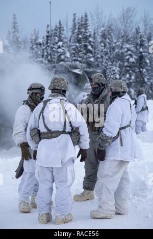 Il cap. Robert Blackman, seconda a destra, il comandante di compagnia per Alpha batteria, 2° Battaglione, 377 campo paracadute reggimento di artiglieria, quarta brigata di fanteria combattere Team (airborne), XXV divisione di fanteria, U.S. Esercito di Alaska, si consulta con compagni soldati durante la conduzione di M119A2 105mm obice live formazione antincendio a base comune Elmendorf-Richardson, Alaska, Gennaio 19, 2017. I paracadutisti hanno affinato le loro abilità di conduzione di fuoco vivo missioni in temperature sotto zero. I soldati del 4/24 IBCT appartengono al solo American airborne brigade nel Pacifico e sono addestrati per eseguire le manovre di volo in e Foto Stock