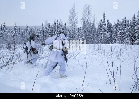 Paracadutisti assegnato alla batteria alfa, 2° Battaglione, 377 campo paracadute reggimento di artiglieria, quarta brigata di fanteria combattere Team (airborne), XXV divisione di fanteria, U.S. Esercito di Alaska, raccogliere il filo di concertina durante la scomposizione di un M119A2 105mm obice emplacement a base comune Elmendorf-Richardson, Alaska, Gennaio 19, 2017. I paracadutisti hanno affinato le loro abilità di conduzione di fuoco vivo missioni in temperature sotto zero. I soldati del 4/24 IBCT appartengono al solo American airborne brigade nel Pacifico e sono addestrati per eseguire le manovre di volo in condizioni di freddo intenso/ambienti ad altitudini elevate Foto Stock