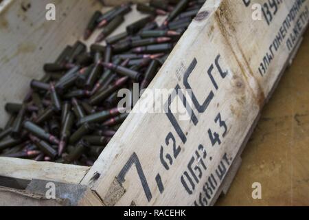 I soldati della società A, 1° Battaglione, 179th Reggimento di Fanteria, 45th della brigata di fanteria combattere Team prendere per la gamma per saperne di più circa il AKM e PKM sistemi d'arma a gennaio 19 prima di iniziare a lavorare con il combattimento ucraino centro di formazione per il personale di guida unità ucraino a internazionale per il mantenimento della pace e della sicurezza centro vicino a Yavoriv, Ucraina. Foto Stock