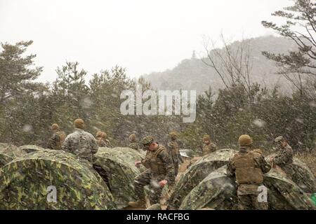 Stati Uniti Marines con Marine Wing Support Squadron (MWSS) 171 impostare due-uomo tende durante l'esercizio Kamoshika ira 17-1 al Giappone di massa Forza di Autodifesa Haramura della zona di manovra a Hiroshima, Giappone, 22 gennaio 2017. L'esercizio è un biennale Livello unità esercizio di formazione che è principalmente incentrato sulla creazione di un forward base operativa e fornendo airfield il funzionamento dei servizi. MWSS-171 treni durante tutto l'anno, il completamento di esercizi come Kamoshika ira 17-1 per migliorare le loro competenze tecniche, esperienza sul campo e militare specialità professionali capacità. Foto Stock