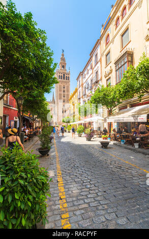 L'iconico Giralda torre campanaria visto dalla strada dello shopping calle Mateos Gago, Siviglia, Andalusia, Spagna, Europa Foto Stock