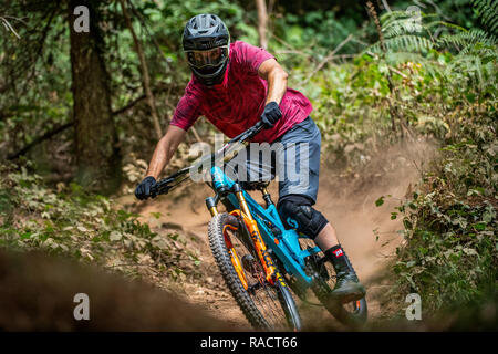 Un uomo corse in mountain bike su un polveroso sentiero Ashton Hill Plantation vicino a Bristol nel Regno Unito. Il Belmont Foto Stock