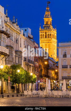 La Giralda torre campanaria visto da San Francisco Square al crepuscolo, Siviglia, Andalusia, Spagna, Europa Foto Stock