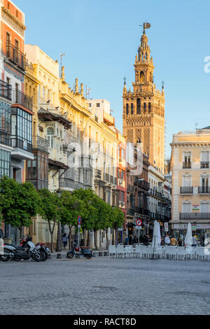 La Giralda torre campanaria visto da San Francisco Square al tramonto, Siviglia, Andalusia, Spagna, Europa Foto Stock