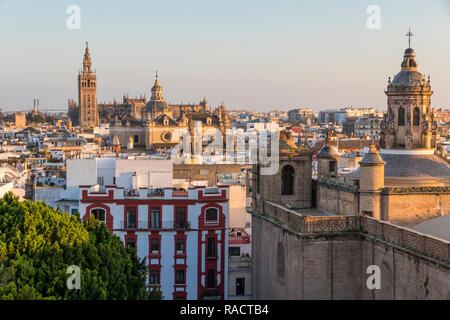 Vista dalla cima del Metropol Parasol nel centro della città di Siviglia, in Andalusia, Spagna, Europa Foto Stock