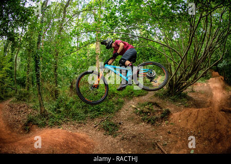 Un uomo corse in mountain bike su un polveroso sentiero Ashton Hill Plantation vicino a Bristol nel Regno Unito. Il Belmont Foto Stock