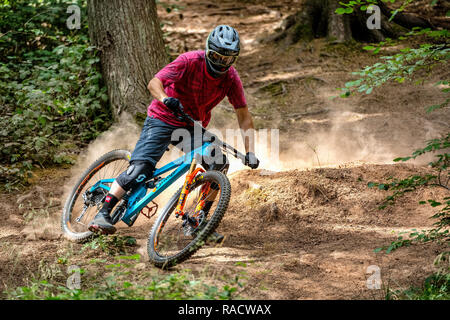 Un uomo corse in mountain bike su un polveroso sentiero Ashton Hill Plantation vicino a Bristol nel Regno Unito. Il Belmont Foto Stock