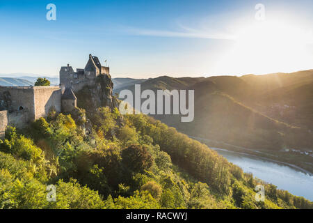Aggstein castello affacciato sul fiume Danubio nella Wachau al tramonto, Austria, Europa Foto Stock