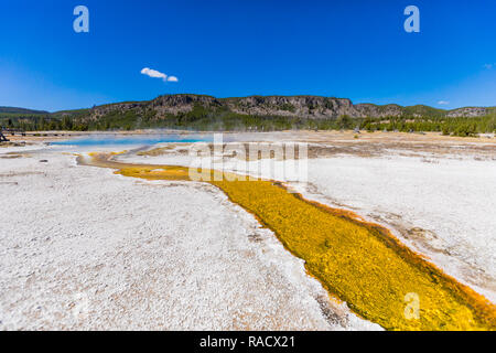 West Thumb Geyser Basin nel Parco Nazionale di Yellowstone, Sito Patrimonio Mondiale dell'UNESCO, Wyoming negli Stati Uniti d'America, America del Nord Foto Stock