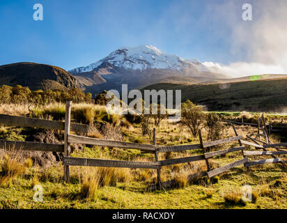 Vulcano Chimborazo, Provincia del Chimborazo, Ecuador, Sud America Foto Stock