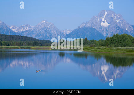 Montare Moran da lanca Bend, Snake River, Grand Teton National Park, Wyoming negli Stati Uniti d'America, America del Nord Foto Stock